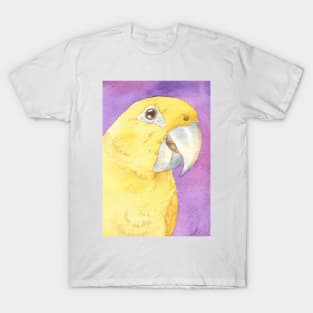 Golden parakeet conure watercolor yellow parrot guaruba T-Shirt